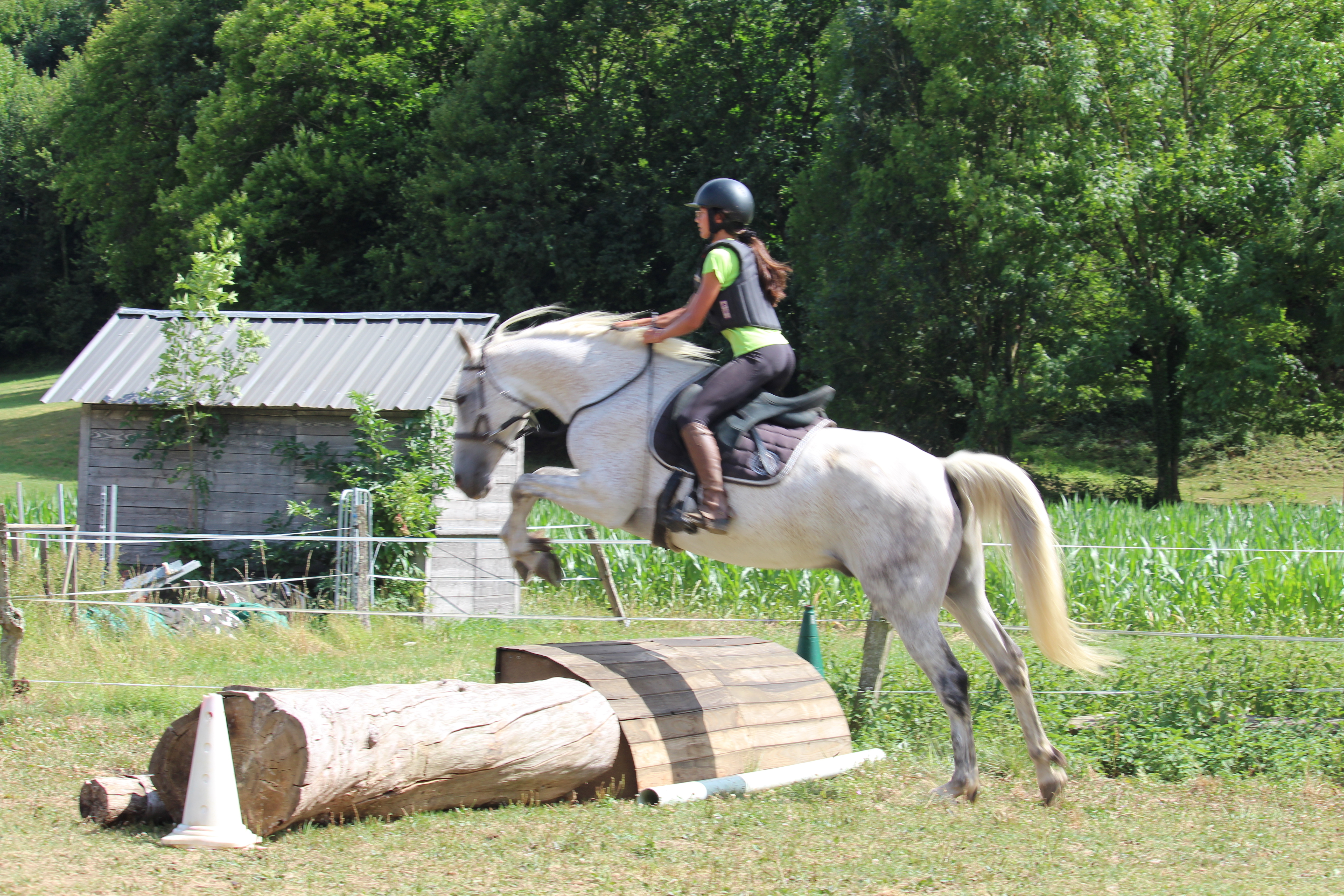 Stages de progression été 2026 