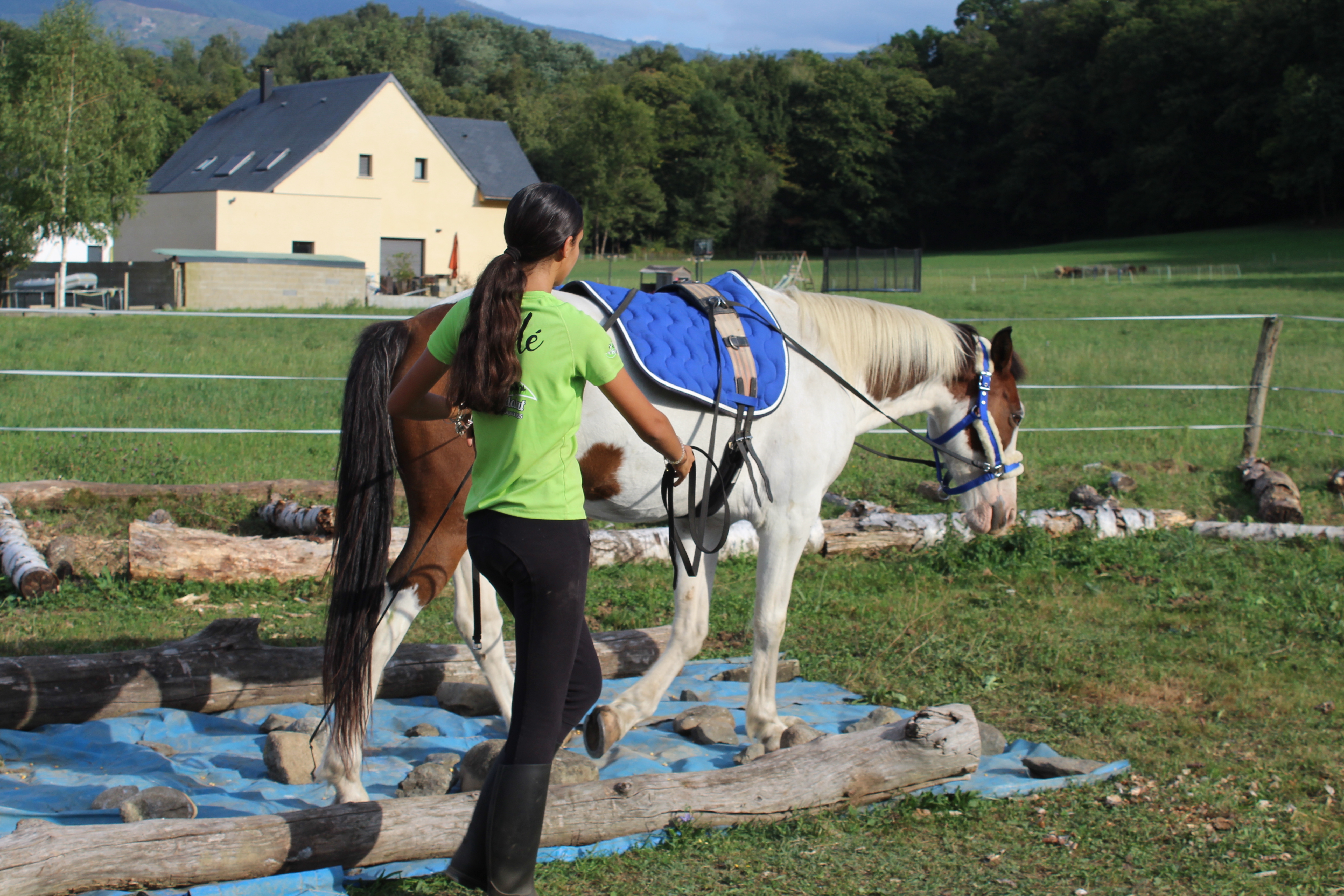 Volonté : qualité dans notre enseignement