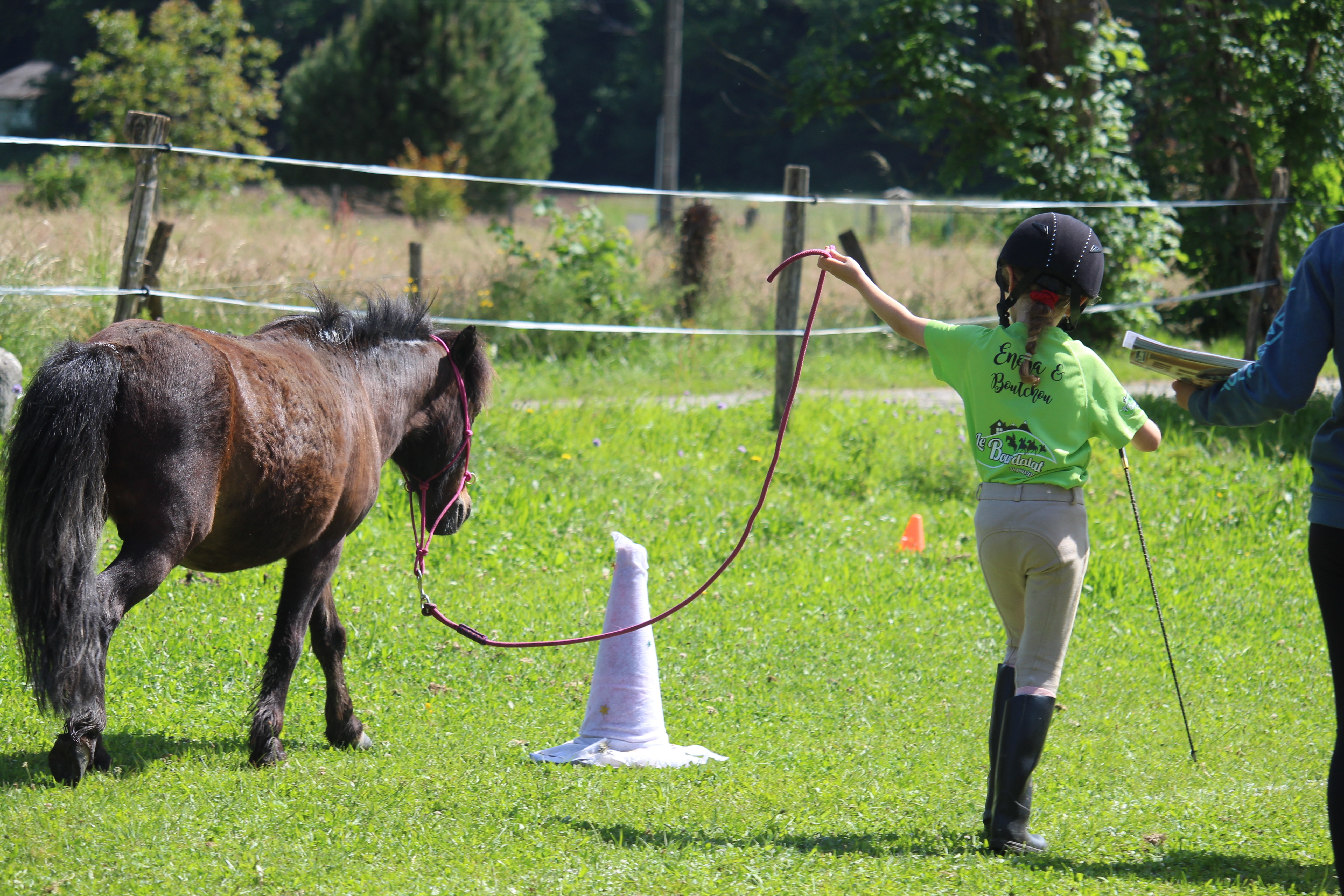 Respect absolu des poneys