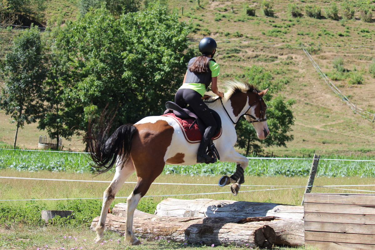 Vacances scolaires de la Toussaint