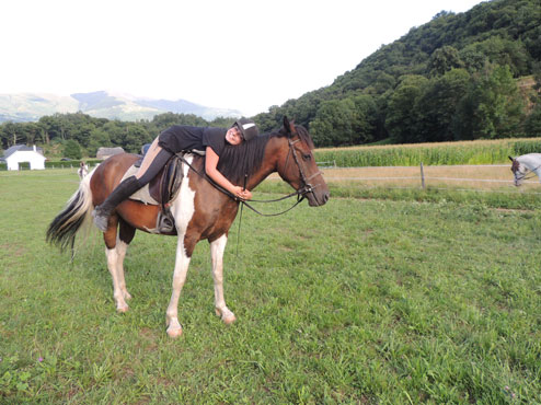 vign cheval01