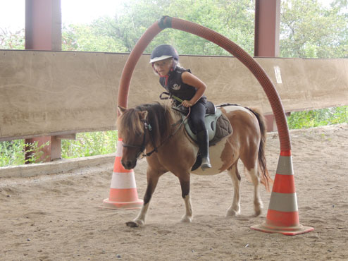 vign poney