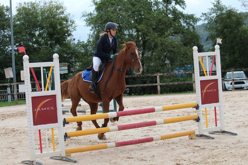 vign competition