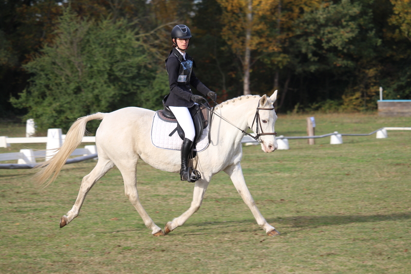 vign dressage legerete