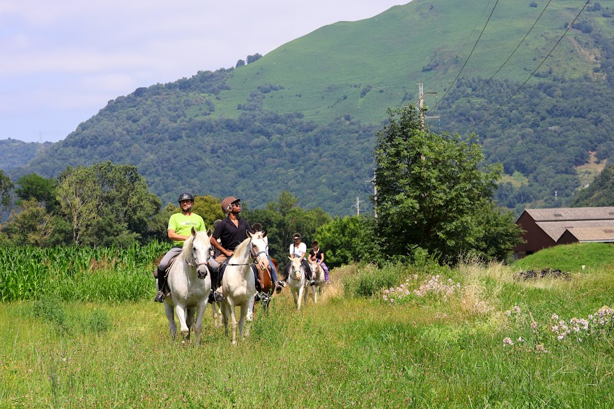 L'équipe de France de tir-à-l'arc à cheval se perfectionne en vue