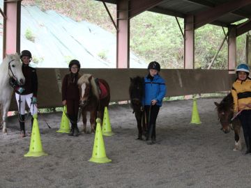 c poney